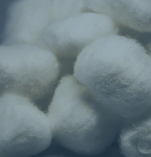  Enlarged image of raw cotton balls